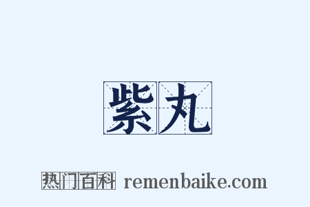 紫丸是什么意思的图片